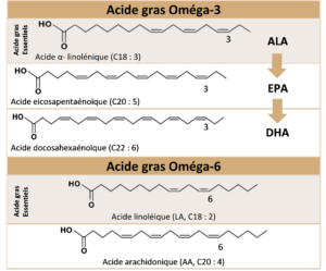 Complément alimentaire, les Oméga-3