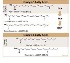 Focus on Food supplement ingredients N°6: Omega 3